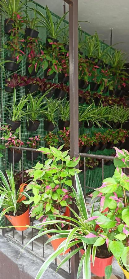 Phibha Villa Shillong Dış mekan fotoğraf